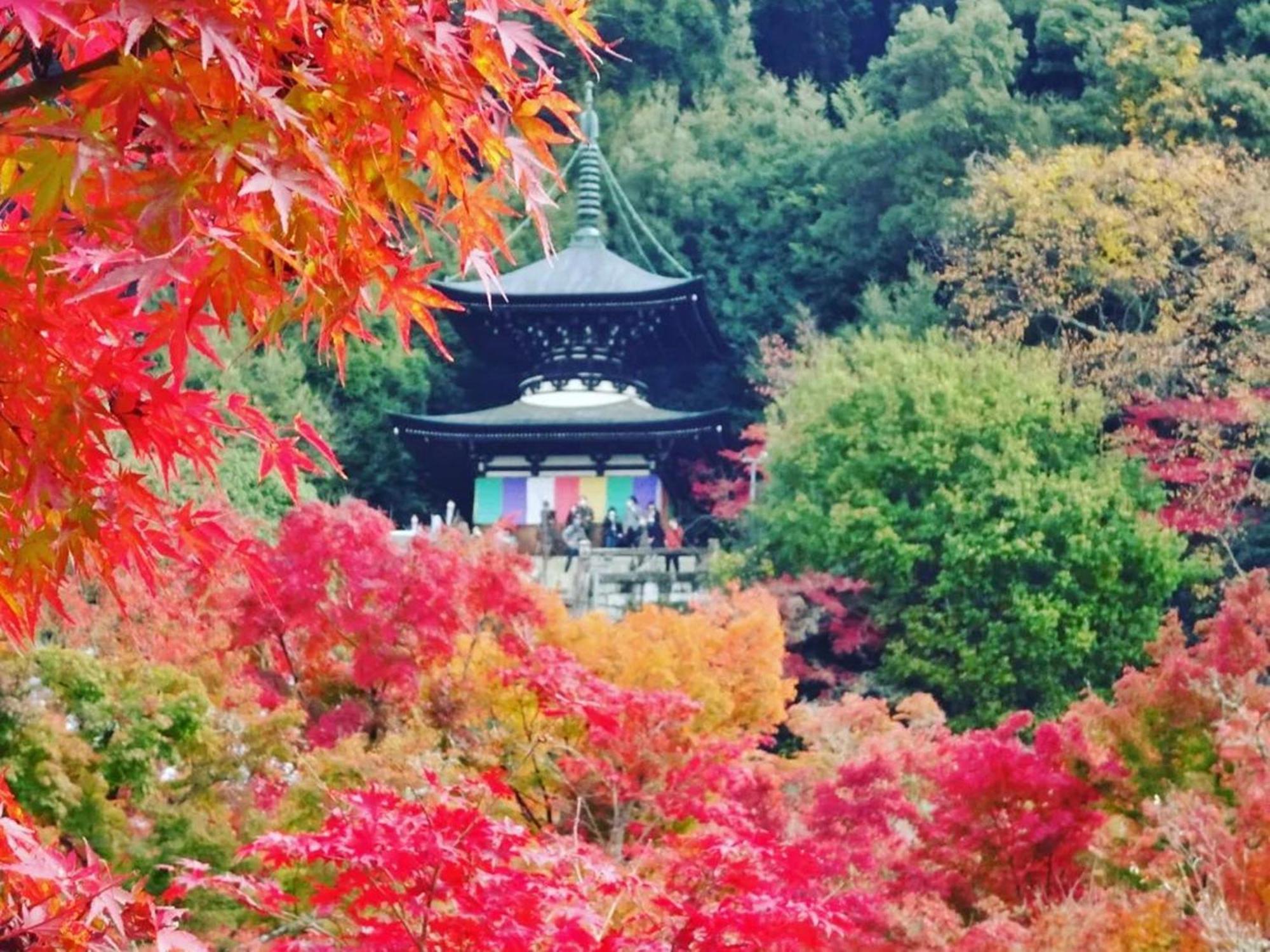 Yamamoto Ryokan Kyōto Exterior foto